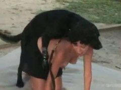 Chú Chó Đen Doggy Cái Lồn Của Cô Chủ Tóc Ngắn Xinh Đẹp