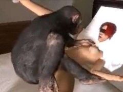 Clip 3d Tái Hiện Hình Ảnh Tinh Tinh Tới Mùa Động Dục Hiếp Dâm Em Gái Trẻ