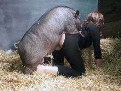 Cô Nàng Nứng Lồn Ra Chuồng Chổng Mông Cho Lợn Đực Đụ