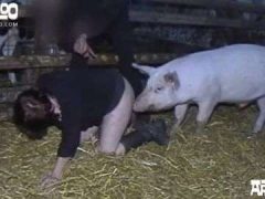 Em Gái Cuối Người Để Heo Đực Doggy Lồn