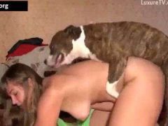 Gái Mỹ Biến Thái Huấn Luyện Chó Làm Tình