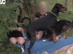Hai Cô Gái Dắt Chó Đi Dạo Công Viên Rồi Đè Ra Bú Cặc Chó