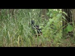 Màn Thăng Hạng Tài Ba Của Em Giúp Việc Lên Bà Chủ Khi Banh Lồn Cho Sếp Lớn