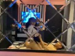 Clip Sex Nguyễn Thanh Hoa Cưỡi Cu Bạn Trai Hơi Thô Bạo