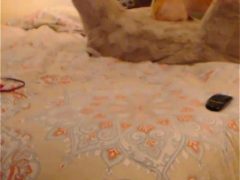 Sex Lén Lút Châu Âu Món Quà Noel Cực Phẩm